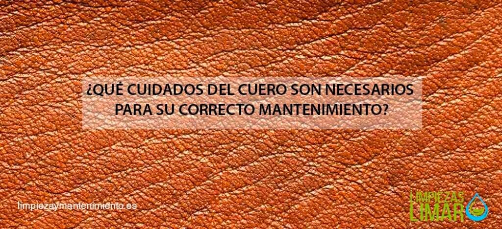 ¿Qué cuidados del cuero son necesarios para su correcto mantenimiento?